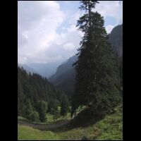 IMG_3885.JPG