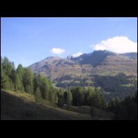 IMG_4035.JPG